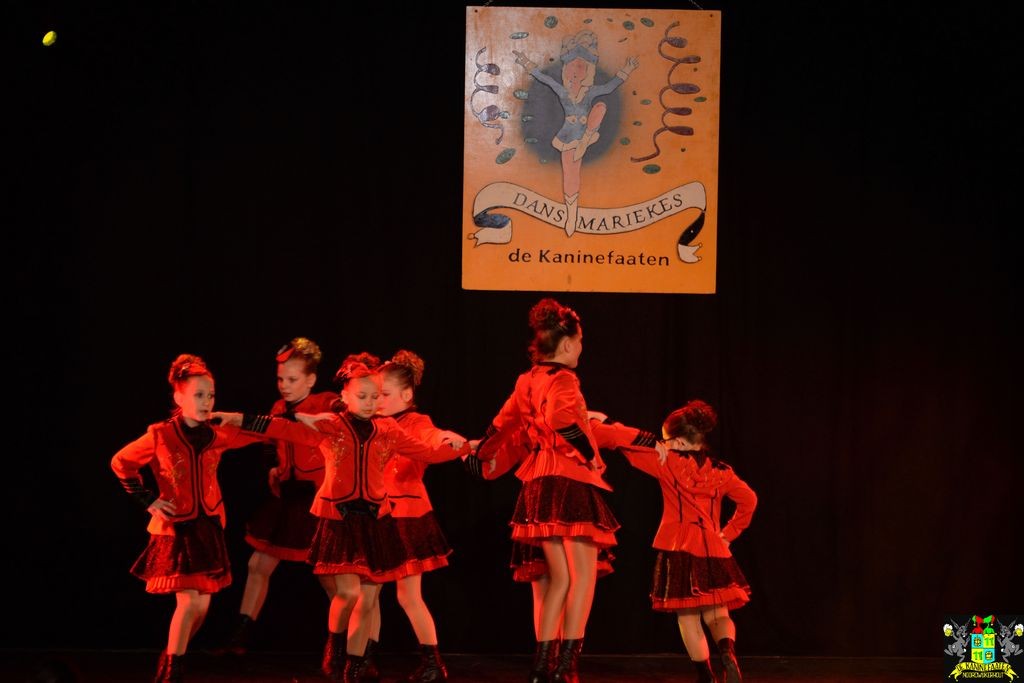 ../Images/Dansmarieke festival 2018 159.jpg